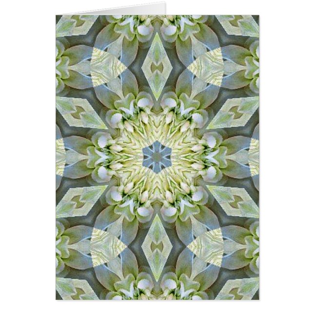 Blume der Liebe_ (Vorne)