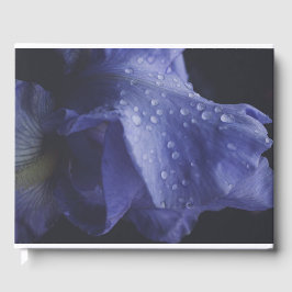 Blume der lila Rose Gästebuch