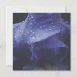 Blume der lila Rose Karte