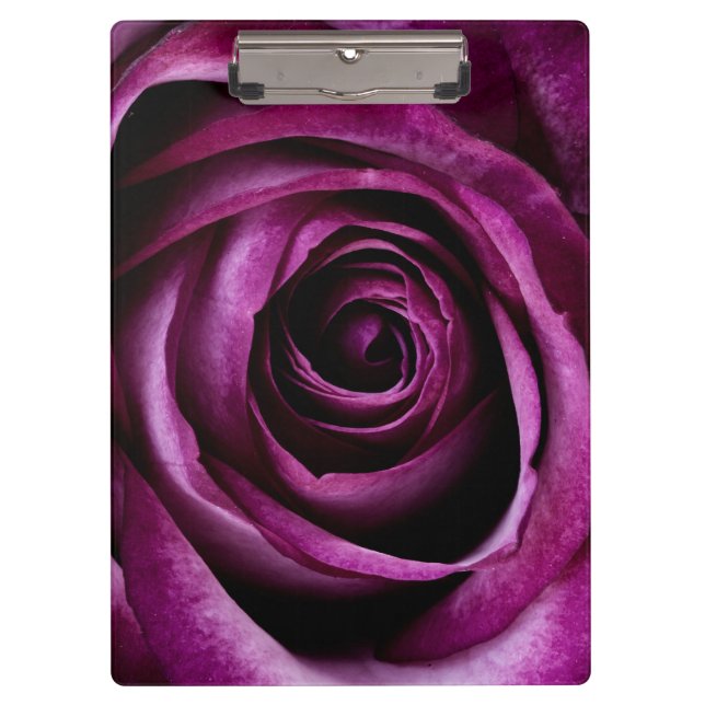 Blume der lila Rose Klemmbrett (Vorderseite)