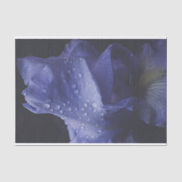 Blume der lila Rose Seidenpapier