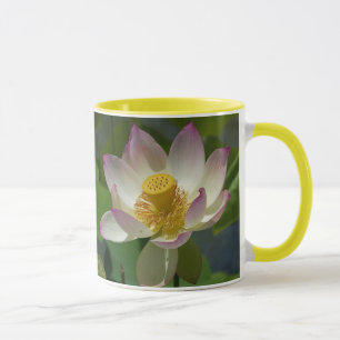 Blume der Lilie auf der Tasse