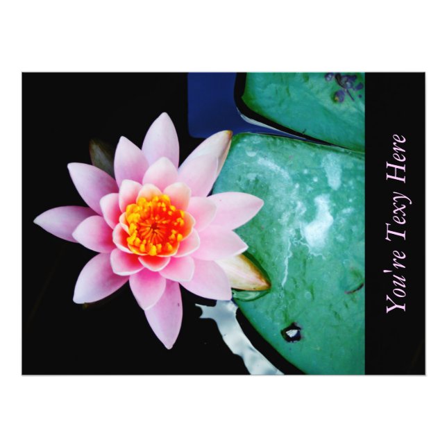 Blume der Lilie (Pink und Orange) Fotodruck (Vorne)
