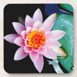 Blume der Lilie (Pink und Orange) Getränkeuntersetzer