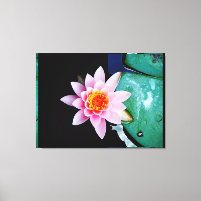 Blume der Lilie (Pink und Orange) Leinwanddruck (Vorderseite)