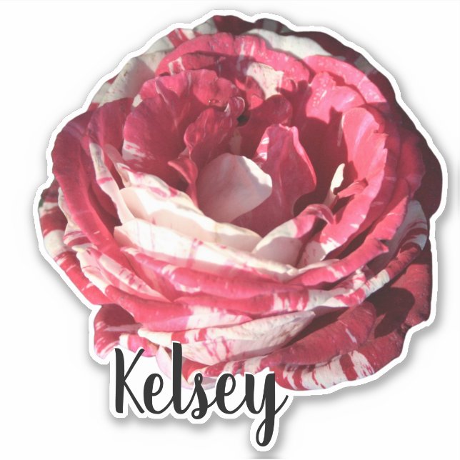 Blume der Monogramm-Rote Rose Niedliche Art Pflanz Aufkleber (Vorderseite)