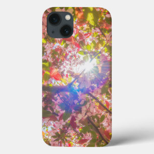 Blume der Natur blühen Sonnenlicht Case-Mate iPhone Hülle
