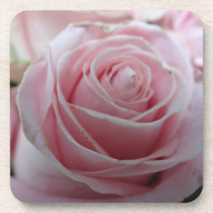 Blume der niedlichen Rose Getränkeuntersetzer
