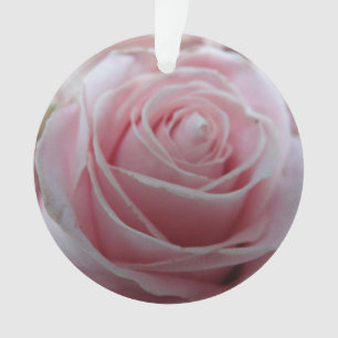Blume der niedlichen Rose Ornament