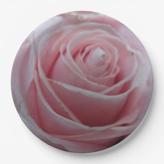 Blume der niedlichen Rose Pappteller (Vorderseite)
