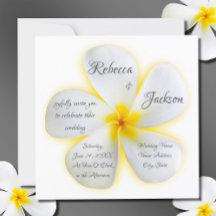 Blume der Plumeria mit Gelb, Hochzeit,