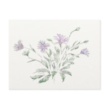 Blume der Postcard