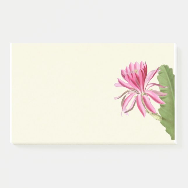Blume der rosa Kakteen, Post-it Klebezettel (Vorderseite)