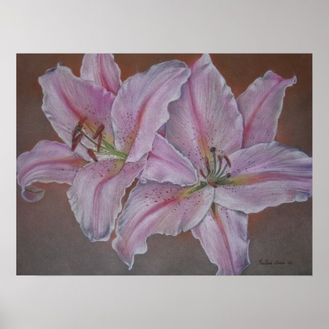 Blume der Rosa Lilie Originalkunstkunst Poster (Vorne)