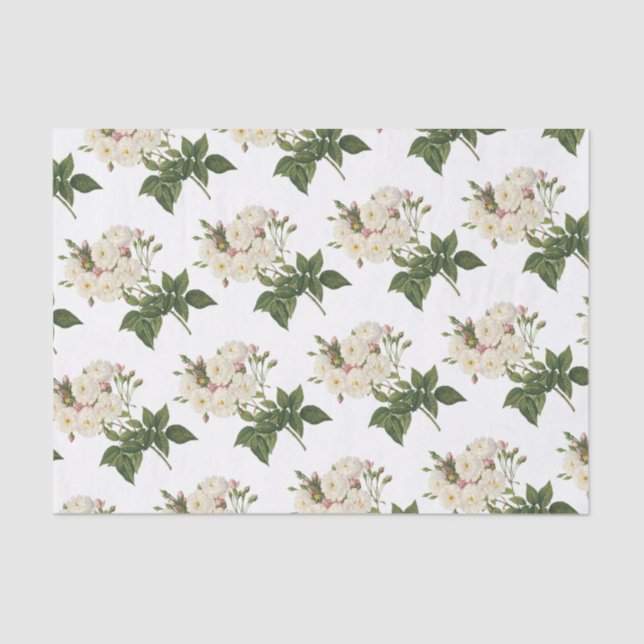 Blume der Rose Seidenpapier (Vorderseite)