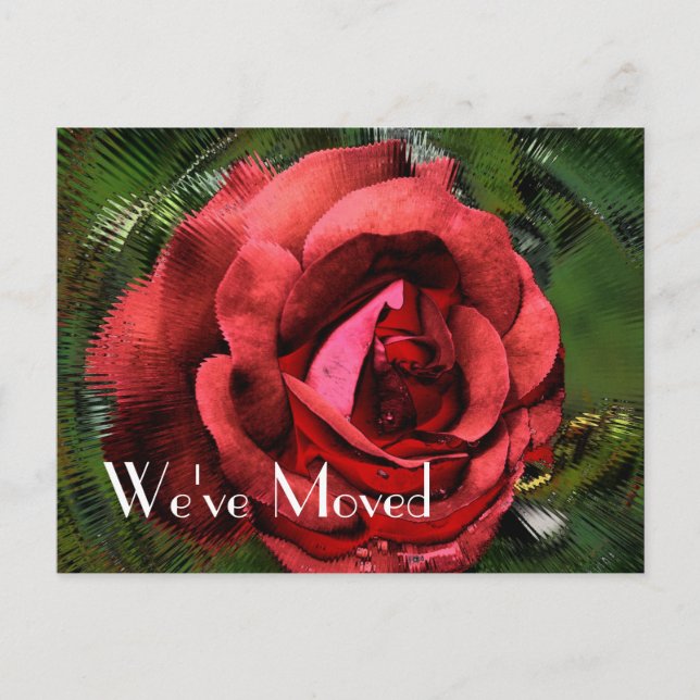 Blume der rote Rose Design neue Adresse Ankündigungspostkarte (Vorderseite)