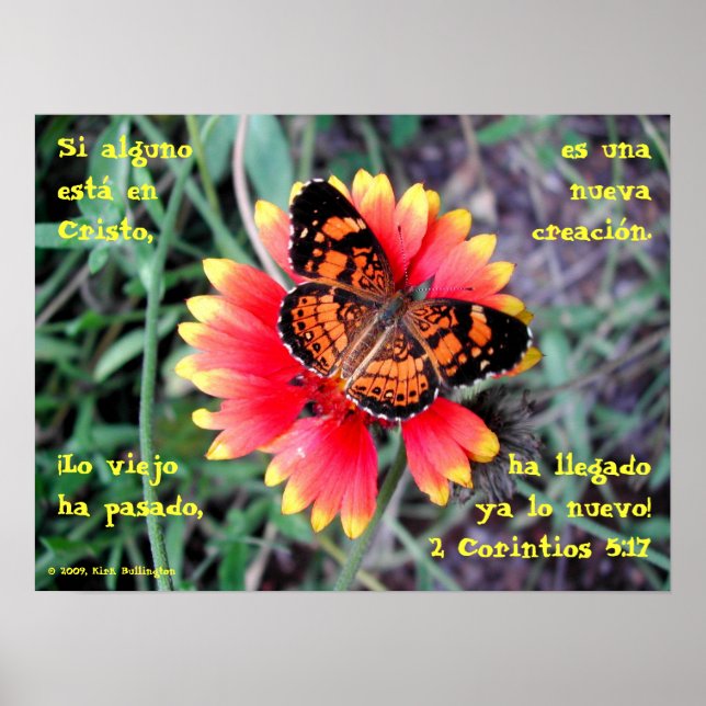 Blume der Schmetterlinge—2 Korintios 5:17 Poster (Vorne)