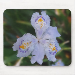 Blume der Schmetterlinge Mousepad