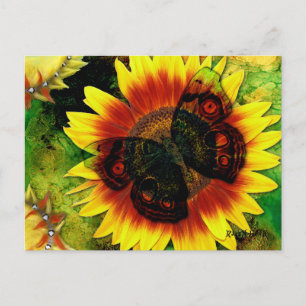 Blume der Schmetterlinge Postkarte