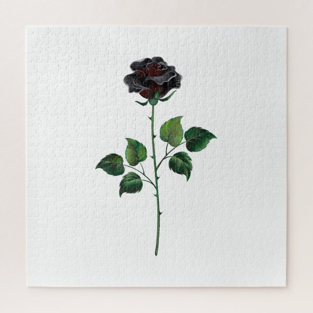 Blume der schwarzen Rose (Vertikal)