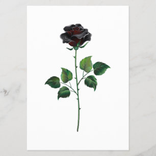 Blume der schwarzen Rose Flyer