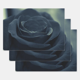Blume der schwarzen Rose Geschenkpapier Set