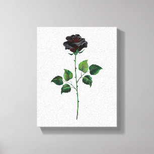 Blume der schwarzen Rose Leinwanddruck