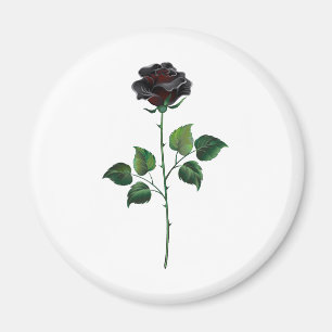 Blume der schwarzen Rose Magnet