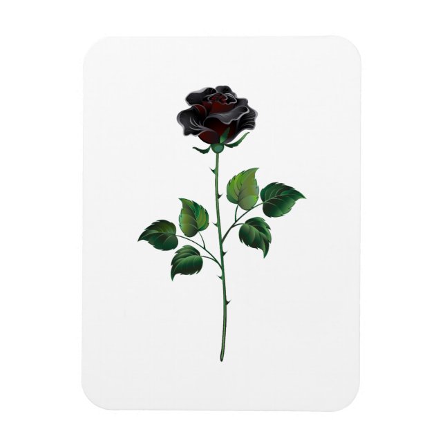 Blume der schwarzen Rose Magnet (Vertikal)