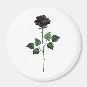 Blume der schwarzen Rose Magnet