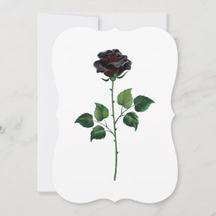 Blume der schwarzen Rose Mitteilungskarte