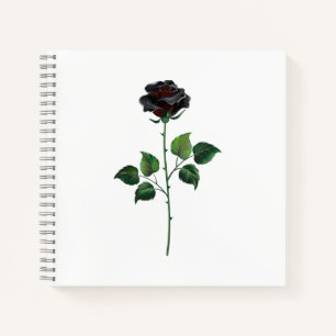 Blume der schwarzen Rose Notizbuch
