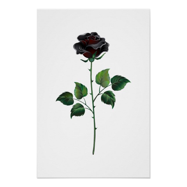 Blume der schwarzen Rose Poster (Vorderseite)