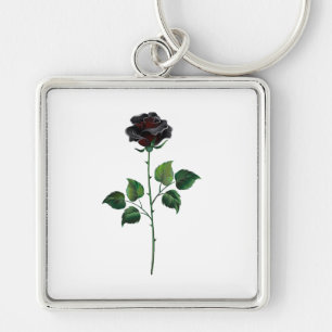 Blume der schwarzen Rose Schlüsselanhänger