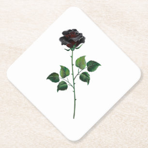 Blume der schwarzen Rose Untersetzer