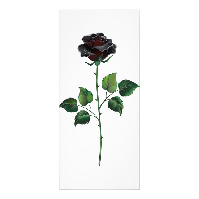Blume der schwarzen Rose Werbekarte (Vorne)