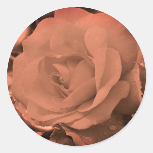 Blume der Vintagen Sepia-Rose Runder Aufkleber (Vorderseite)