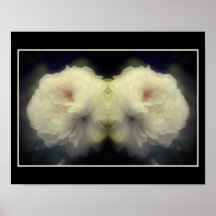 Blume der weißen Rose im Blutspiegel Abstrakt
