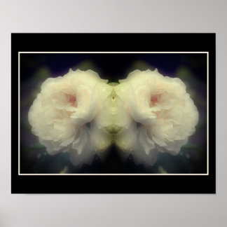Blume der weißen Rose im Blutspiegel Abstrakt Poster
