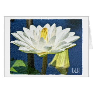 Blume der weißen Wasserlilie, Florenz Kunst/Kultur