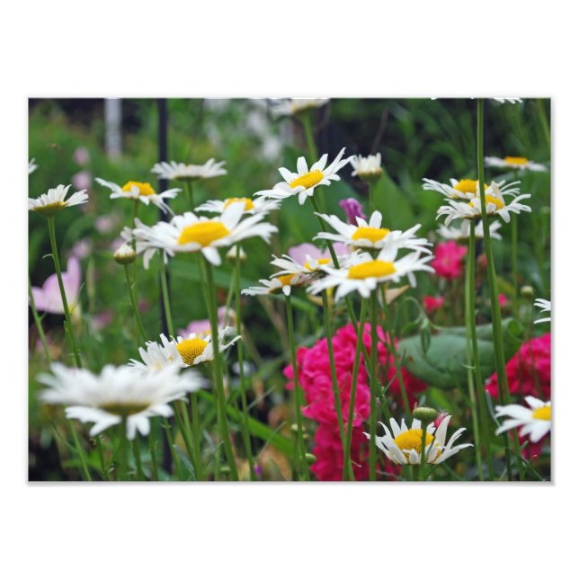 Blume der Welt Fotodruck (Vorne)