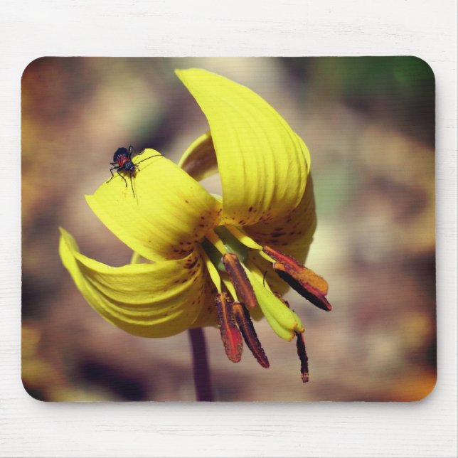 Blume der wilden Forellen Mousepad (Vorne)