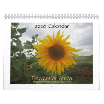 Blume des Afrika-Kalenders