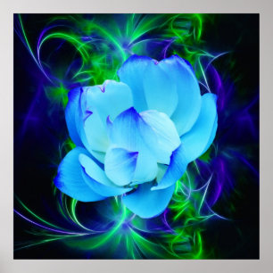 Blume des blauen Lotos und seine Bedeutung Poster