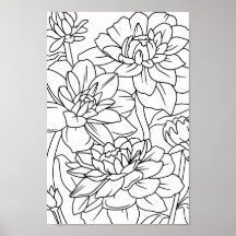 Blume des erwachsenen Lotus 1