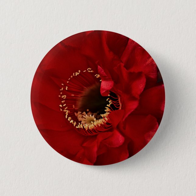 Blume des Feuerlichtkaktums Button (Vorderseite)