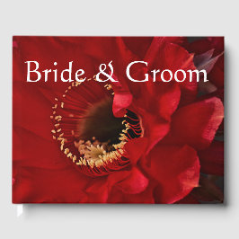 Blume des Feuerlichtkaktums Gästebuch