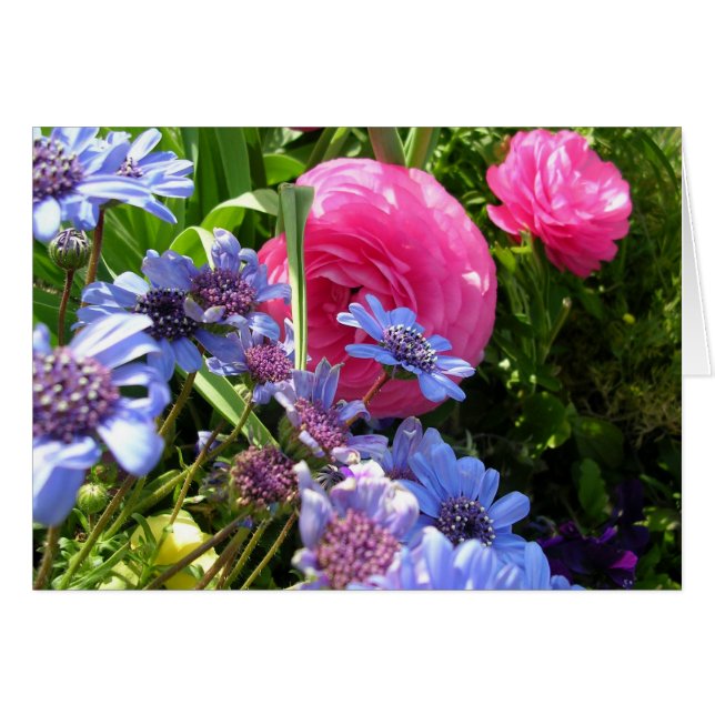 Blume des Frühlings (Vorderseite (Horizontal))