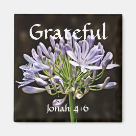 Blume des Glaubens Jonah Agapanthus Magnet