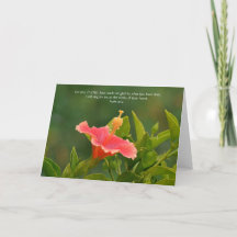 Blume des Glaubens Schöne Blume und Schrift